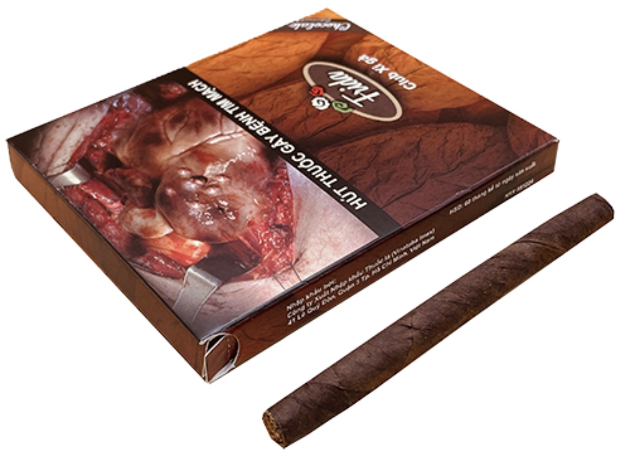 Frida Chocolate Club